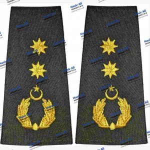 Rank Badge Group Capt Coverall