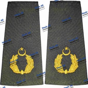 Rank Badge Group Capt Coverall