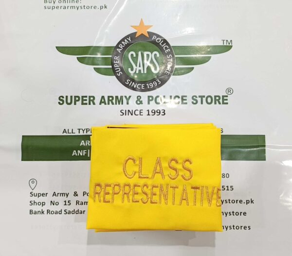 Army Public School And College System bands